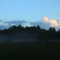 Стелется туман :: Заряна Кузина