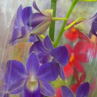 Прелесть орхидей... Картина маслом ) :: Тамара Бедай 