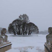 Парк зимой :: Галина Козлова 