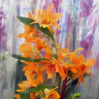 Песнь прекрасной орхидее... :: Тамара Бедай 