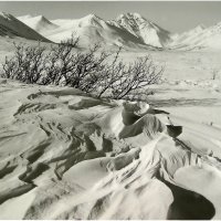 Отшумела пурга оставляя следы на снегу :: Геннадий Худолеев Худолеев