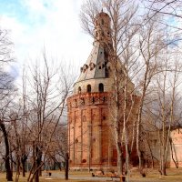 Симонов монастырь :: Светлана 
