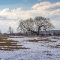 весна :: Alexandr 