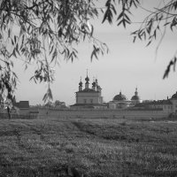 Белопесоцкий монастырь :: Светлана Карнаух