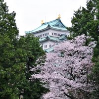 Замок Нагоя Япония :: wea *
