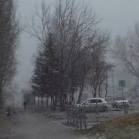 Снегопад в апреле . :: Мила Бовкун