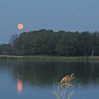 Восход луны. :: Николай Масляев