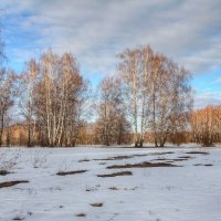 Березовый шёпот :: Константин 