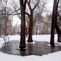 Зима Весной... :: Дмитрий Петренко