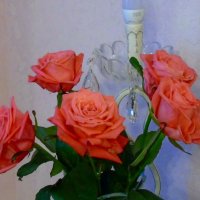 Розы :: Наталья Цыганова 