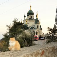 Рыжий кот и Церковь Воскресения Христова над Форосом :: Lyudmyla Pokryshen