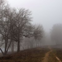Дорога в туман. :: Инна Щелокова