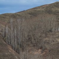 Путешествие под знаком орла.(Нижний - Булгары) :: юрий макаров