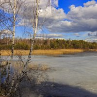 солнечным днем :: оксана 