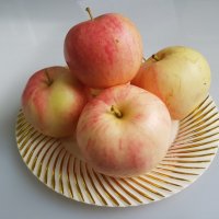 Эх яблочки, да на тарелочке... :: Евгений 
