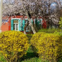 Весна :: Игорь Сикорский