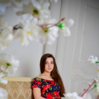 Цветы :: Ирина Соколова