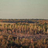 Пейзаж :: Валерий Михневич