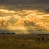 Небо Африки :: svabboy photo