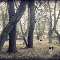 хмурый апрель в парке :: Любовь 