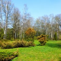 Весенний пейзаж Ботанического сада :: Лидия Бусурина
