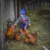 Ярик, начинающий фермер! :: Ирина Антоновна