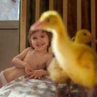 Я маленький цыпленок :: Элина Лисицына