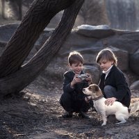 Мальчики фотографируют собаку :: Elena Jukovskaia