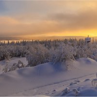 Морозное утро :: Владимир Чикота 
