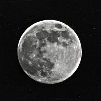 Луна :: Михаил Цегалко