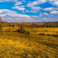 Весной в овраге у ручья :: Виктор Корочкин 