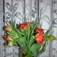 Букет алых тюльпанов :: Наталья Цыганова 