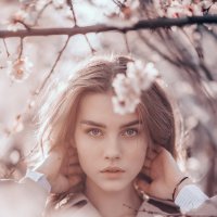 Весна :: Кира Степанова