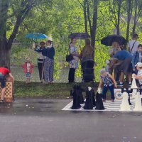 Матч состоится в любую погоду :: Наталья Кузнецова