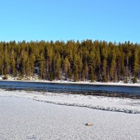 Весеннее настроение :: Ольга 