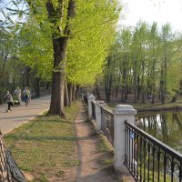 Весна в Лефортовском парке. :: Oleg4618 Шутченко