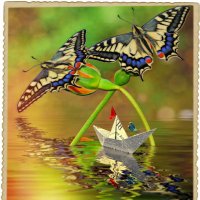 Про бабочек ...стрекозку-капитана и бумажный кораблик...на рейде. :: Anatol L