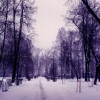 Снег в конце Апреля... :: Дмитрий Петренко