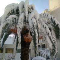 Зима в Ерусалиме. :: Валерьян Запорожченко