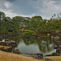 Сад камней в замке сёгуна Нидзё в Киото (3) :: Shapiro Svetlana 