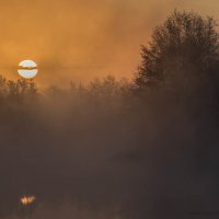 Туман, парящий над рекой,Окутал с нежностью светило... :: Наташа Баранова