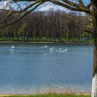 Городское водохранилище :: Игорь Сикорский