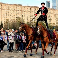 Трюки на лошадях. :: Татьяна Помогалова