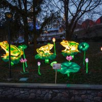 Выставка китайских фонарей. Лягушки и лотосы. :: Андрей Нибылица