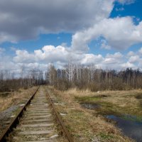 Убинское. Новосибирская область :: Мария Ларионова