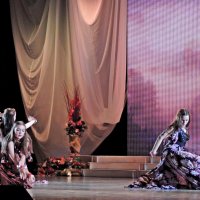 Красота танца :: Ната57 Наталья Мамедова