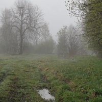 Прямо в туман весенний :: Владимир Гилясев
