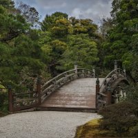 Горбатый мостик в саду императорского дворца Госё в Киото. :: Shapiro Svetlana 