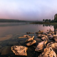 рассветное :: Василий Иваненко