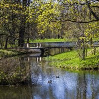 Алексанровский парк в Царском Селе (г.Пушкин) (1) :: Александр 